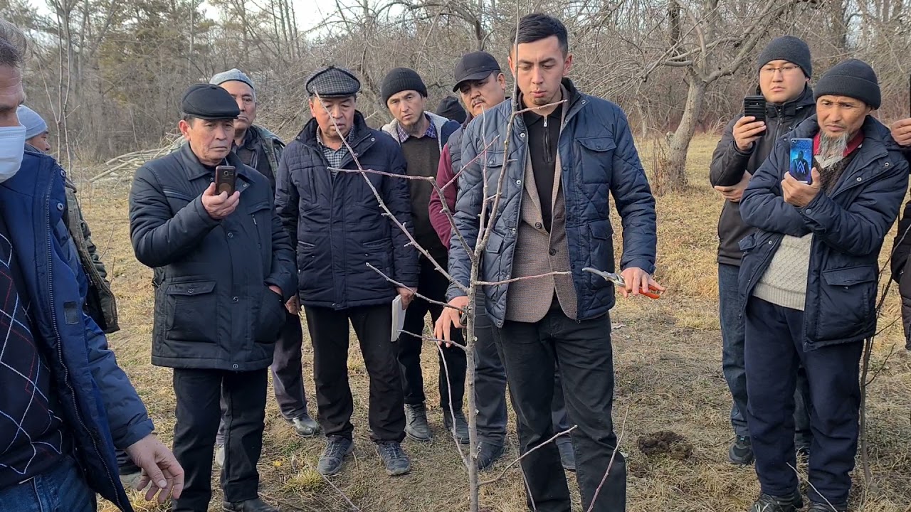 Ошто болгон бак отургузуу семинары 18.19 декабрь