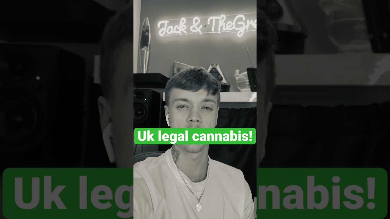 Uk medical cannabis! #shorts #medicalcannabis #integro