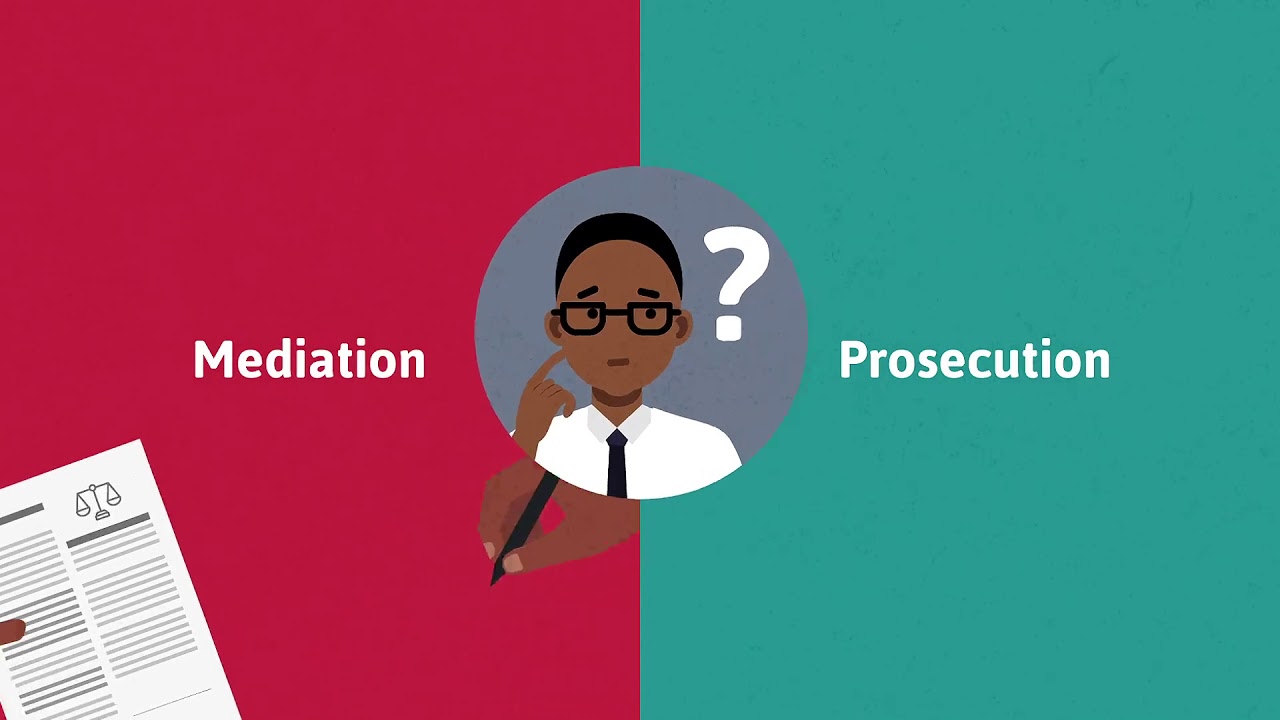 NPA accountability, trust and public interest