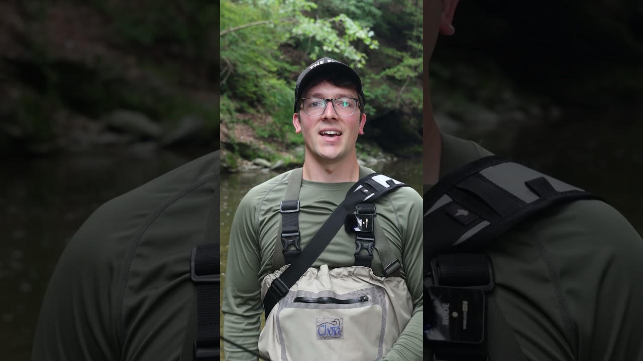Where to Find Trout in Rivers: How To Fly Fish