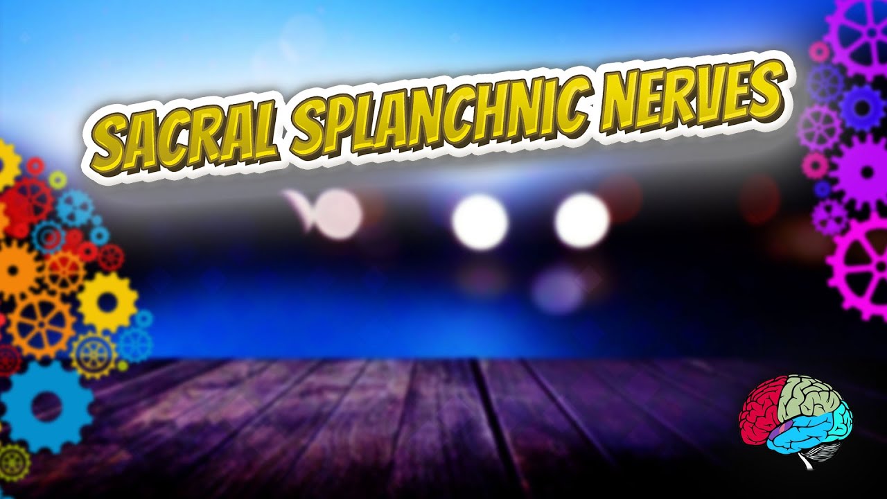 SACRAL SPLANCHNIC NERVES - Know It ALL 🔊✅