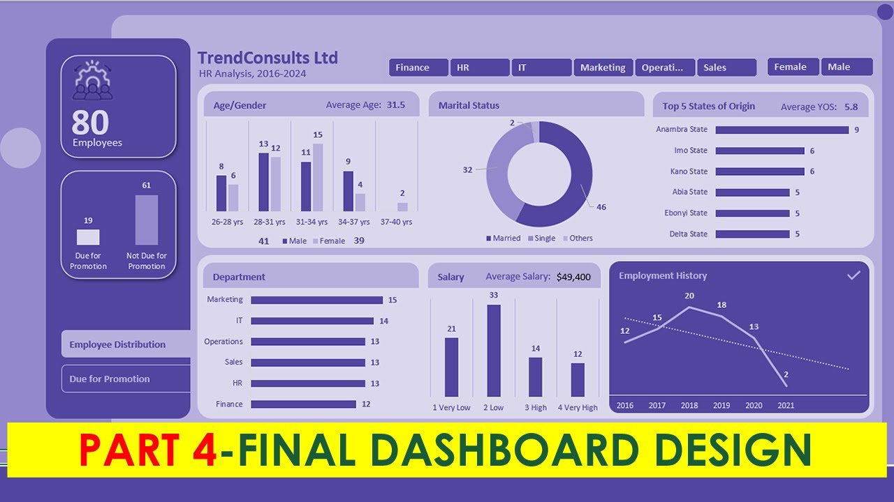 Part 4: Final Dashboard Design using Excel / Power BI - 2024