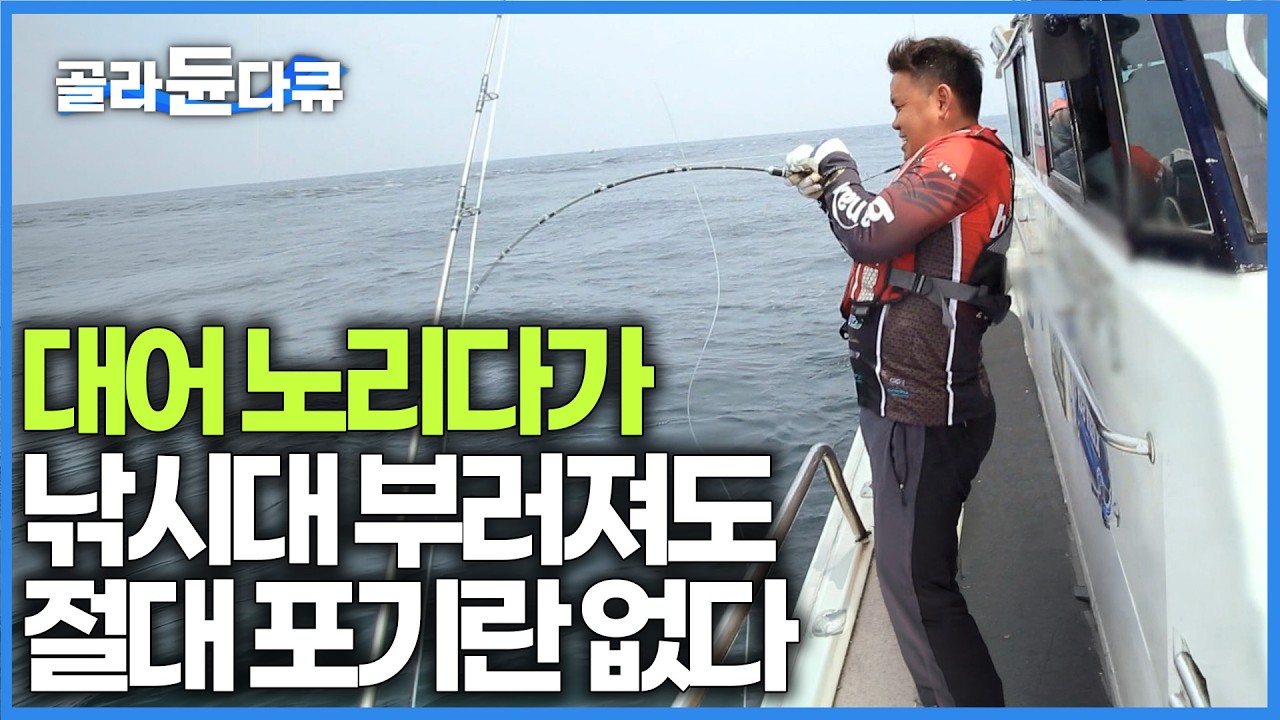 작은 것은 하등 쓸모없다. 오직 대어🐟만 노리는 상남자 낚시꾼들의 진짜 한판승부｜복사초 부시리 낚시 후 바로 썰어 먹는 최고급 횟감까지｜한국기행｜#골라듄다큐