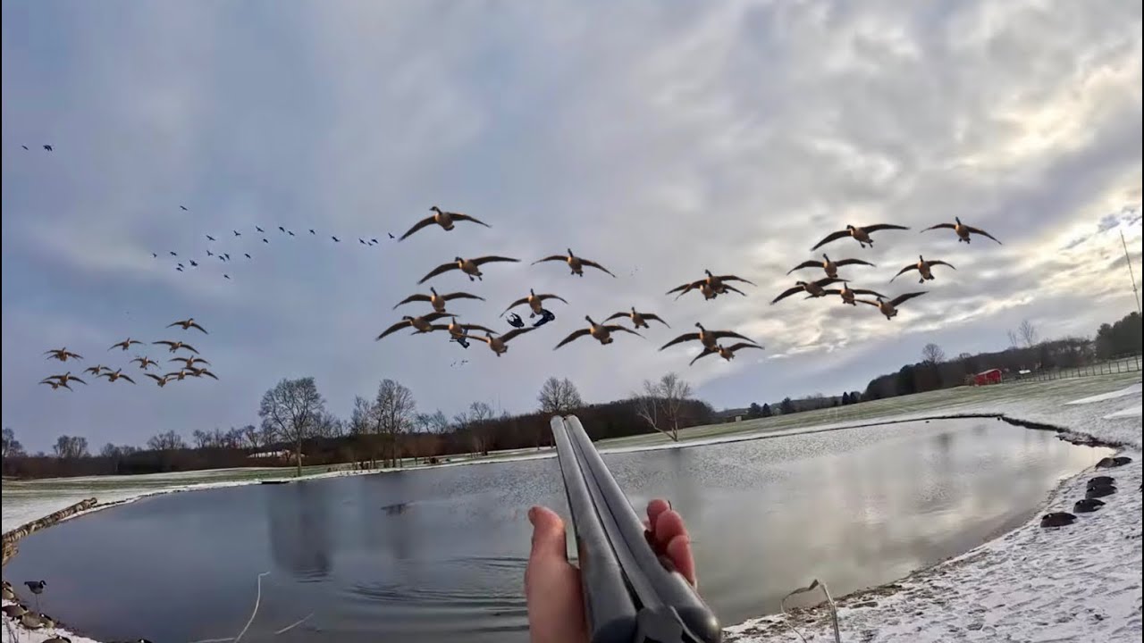 Micro Farm Pond Goose Hunt | Geese Finish FEET DOWN in the Snow