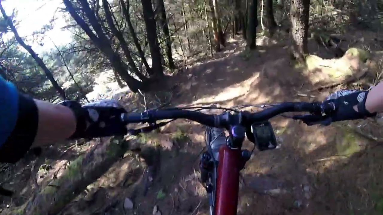 Roundwood spin with Max - trails sabotage
