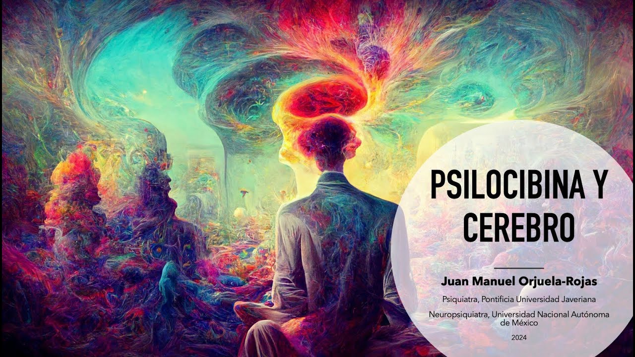 ¿Qué le hace la psilocibina a mi cerebro?