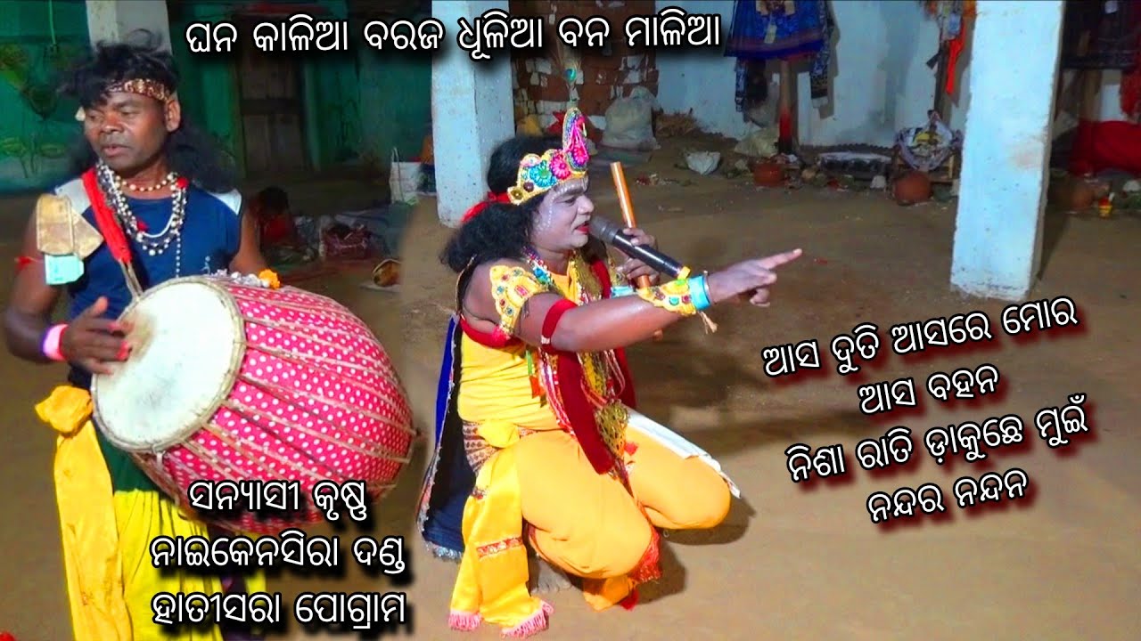 Aasa Duti Aasare mor...// Sanyasi Krushna - Naikensira Danda Nrutya - Hatisara Pogram - Ghana Kaliaa