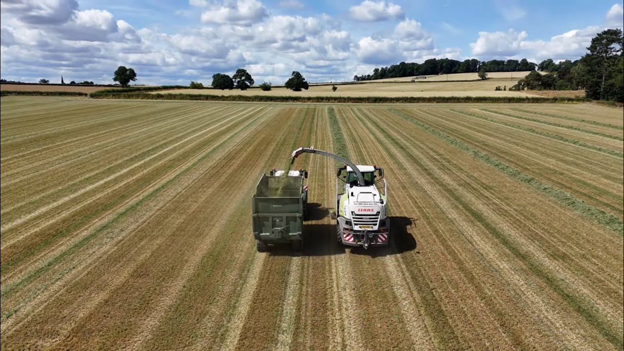 Grass silaging Newton Solney & Red Kites