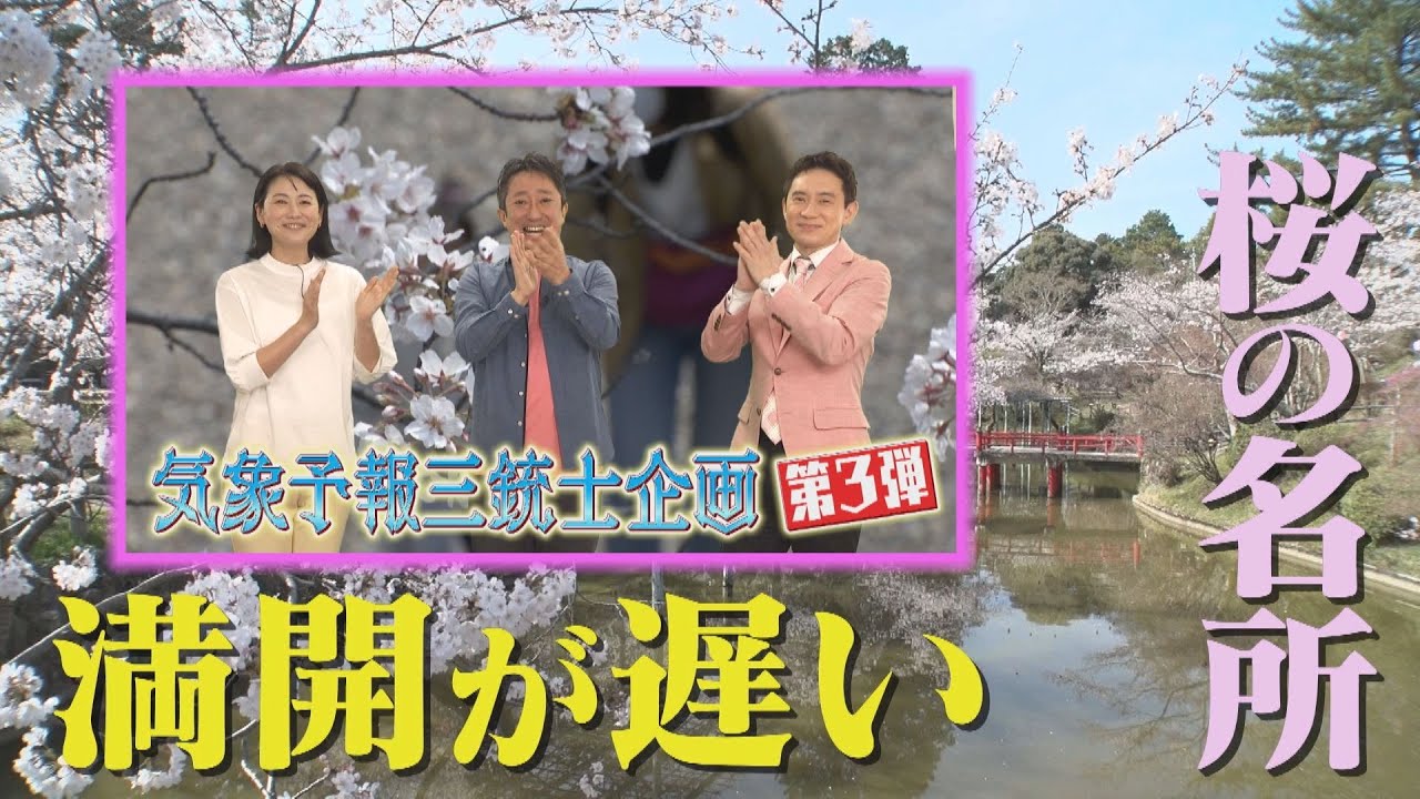 気象予報士激推し！まだ間に合う桜スポット&グルメ