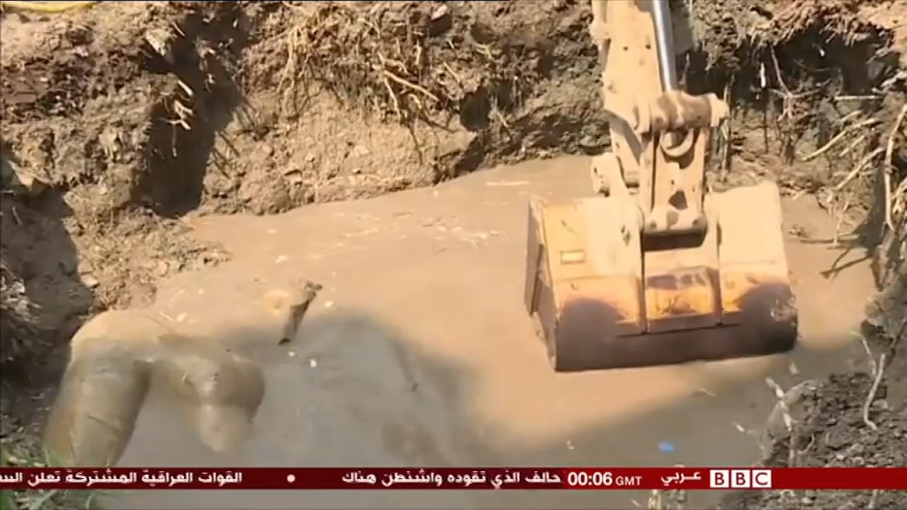 Giant statue of Egyptian Pharaoh Ramses II found in Cairo slum by archaelogists