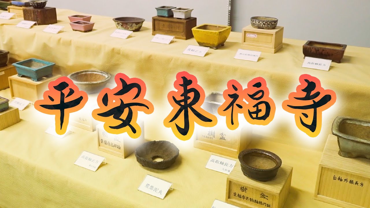 第29回 秋雅展｜平安東福寺鉢の展示