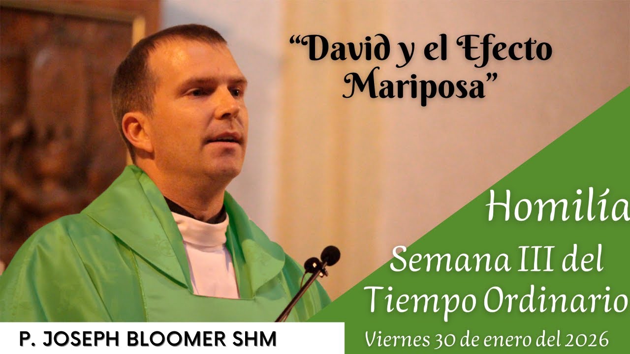 “David y el Efecto Mariposa” -  Homilía P. Joseph