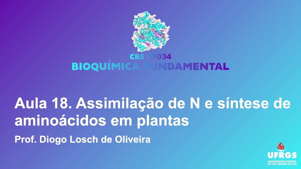 Aula 18.04 - Assimilação de N e incorporação em aminoácidos