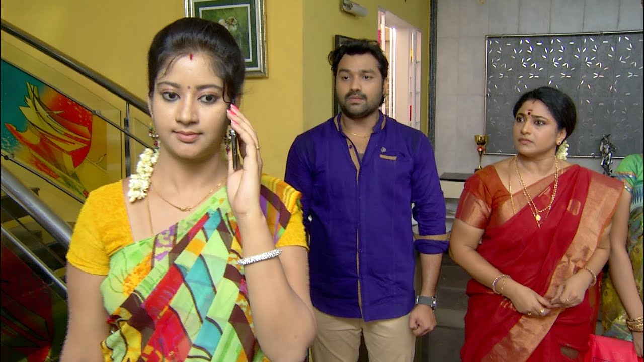 Priyamanaval Episode 202,  15/09/15