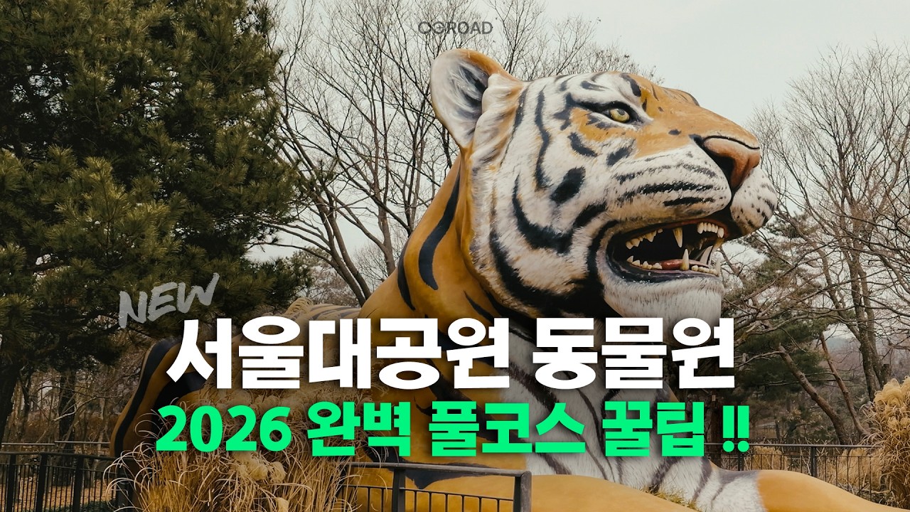 2026 서울대공원 동물원 완벽 풀코스 꿀팁 🐻 체력세이브 동선 + 동물 총정리