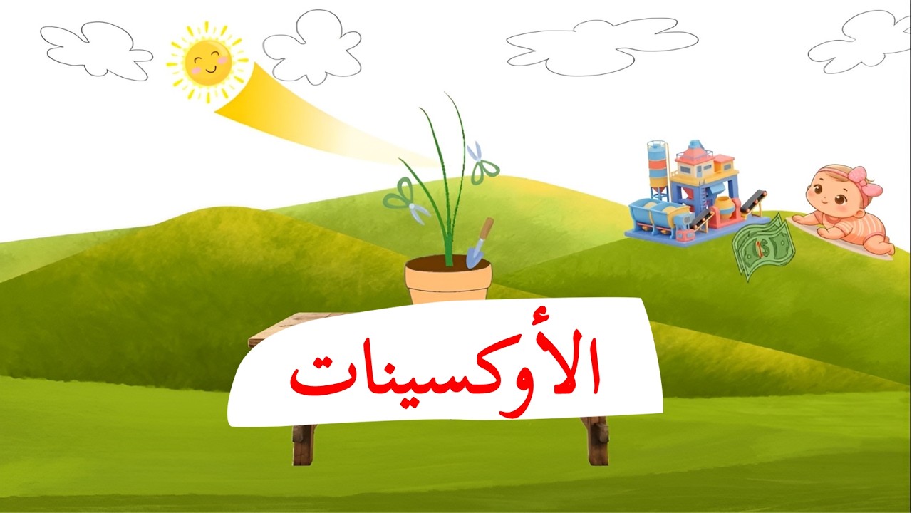 حفظ معلومات الأوكسينات بطريقة دكتور سكيتشي 🌱✍🏻