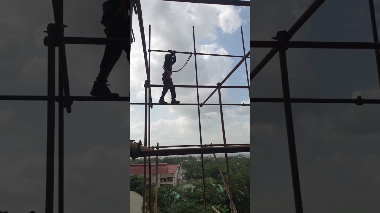 World wide Ark legacy project Men active at work 