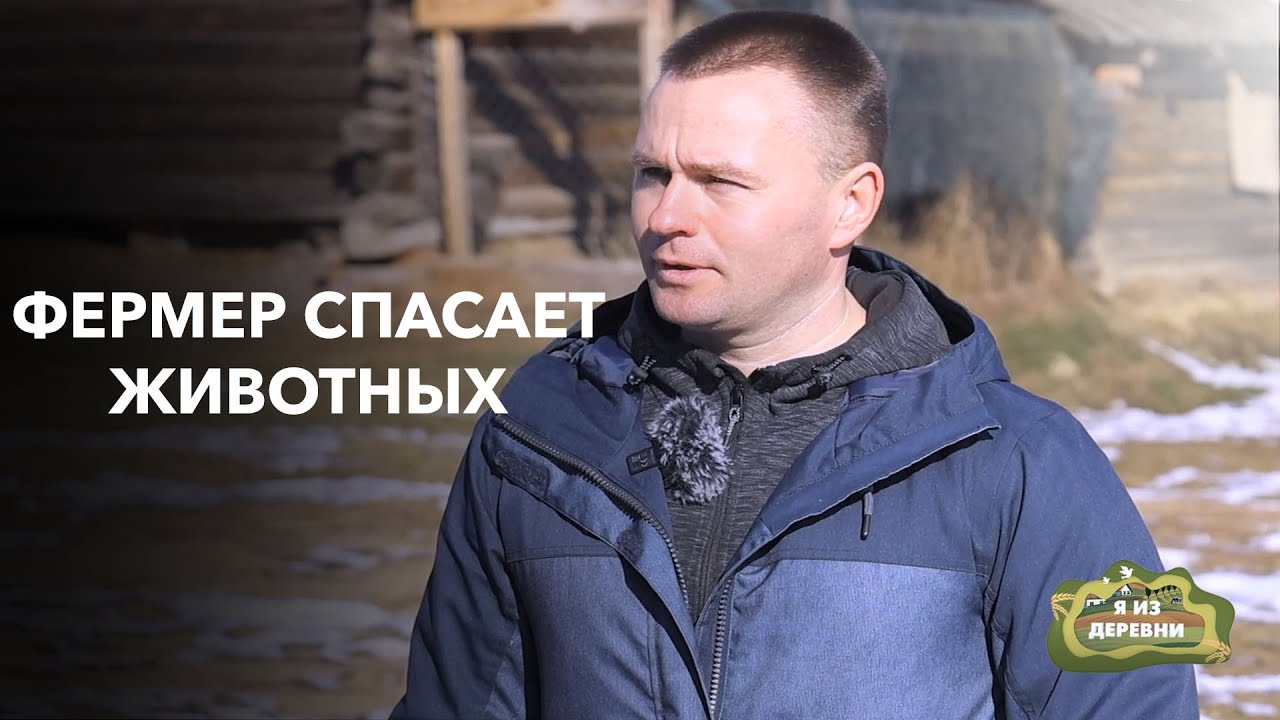 Жизнь на хуторе: молодая семья с ребенком занимается фермерством и спасает животных. Я из деревни