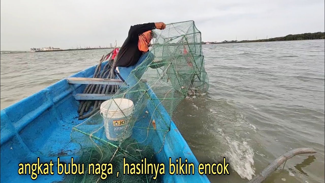 Hasilnya Memuaskan || Angkat bubu naga di laut