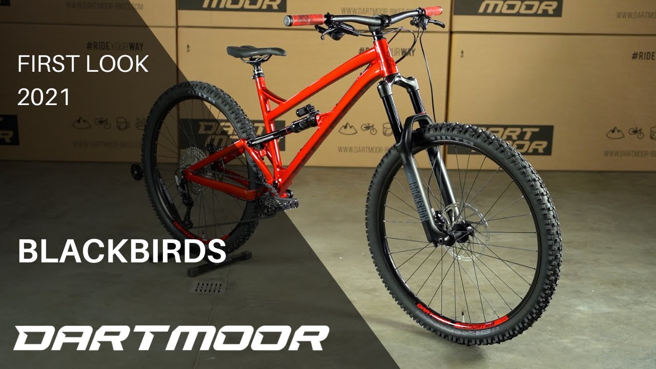 FIRST LOOK: BLACKBIRDS 2021
