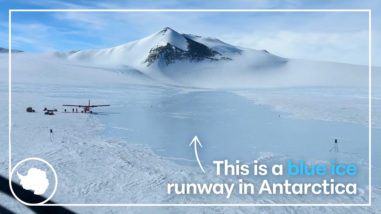 Landing on the remote Sky-Blu ice runway in Antarctica | British Antarctic Survey