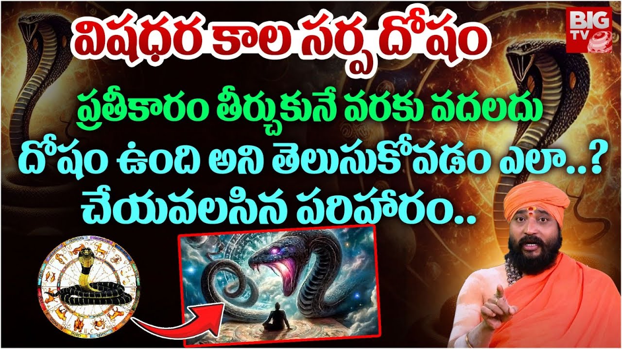 విషధర కాల సర్ప దోషం ప్రతీకారం తీర్చుకునే వరకు వదలదు | Vishadhara Kala Sarpa Dosha Remedy | BIG TV