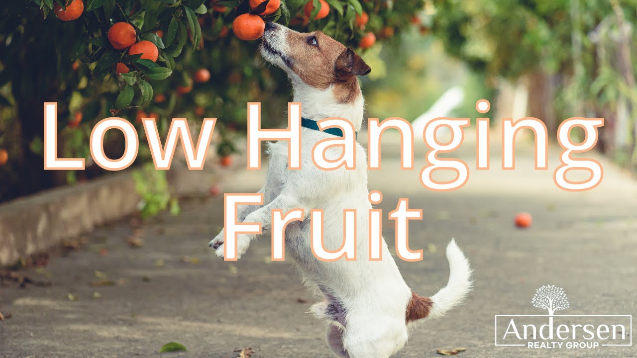 Looking for a deal in today&rsquo;s real estate market? Where to Find Low-Hanging Fruit
