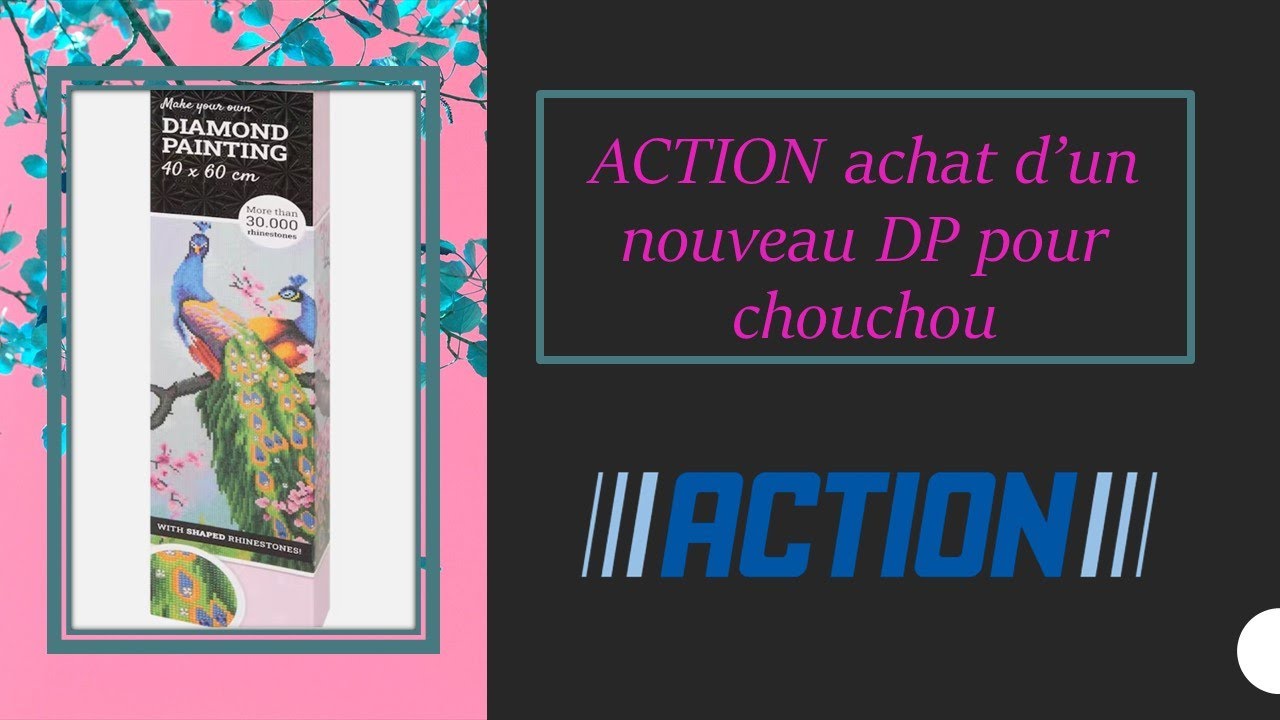 ACTION achat d'un DIAMOND PAINTING pour CHOUCHOU