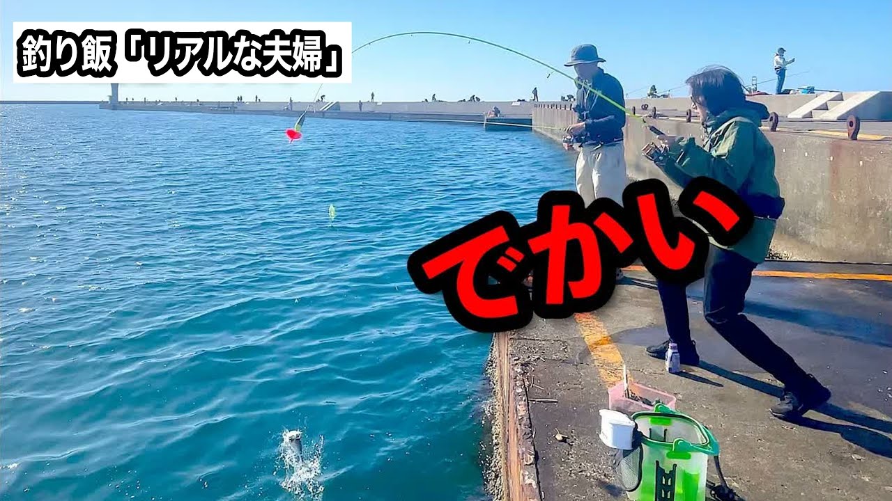 「 クーラー二つ、満タン 」　大量にデカアジが釣れたと聞いて、翌日海に向かうと【閲覧注意】の出来事が・・・どう対応すれば・・・・　直江津港第３堤防（ハッピーフィッシング)