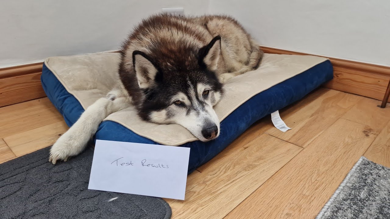Test Results Are Here And I had To Tell Him
