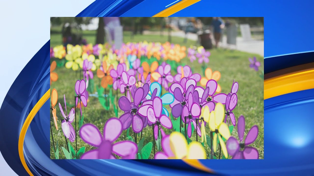 Albuquerque joining over 600 communities to end Alzheimer's