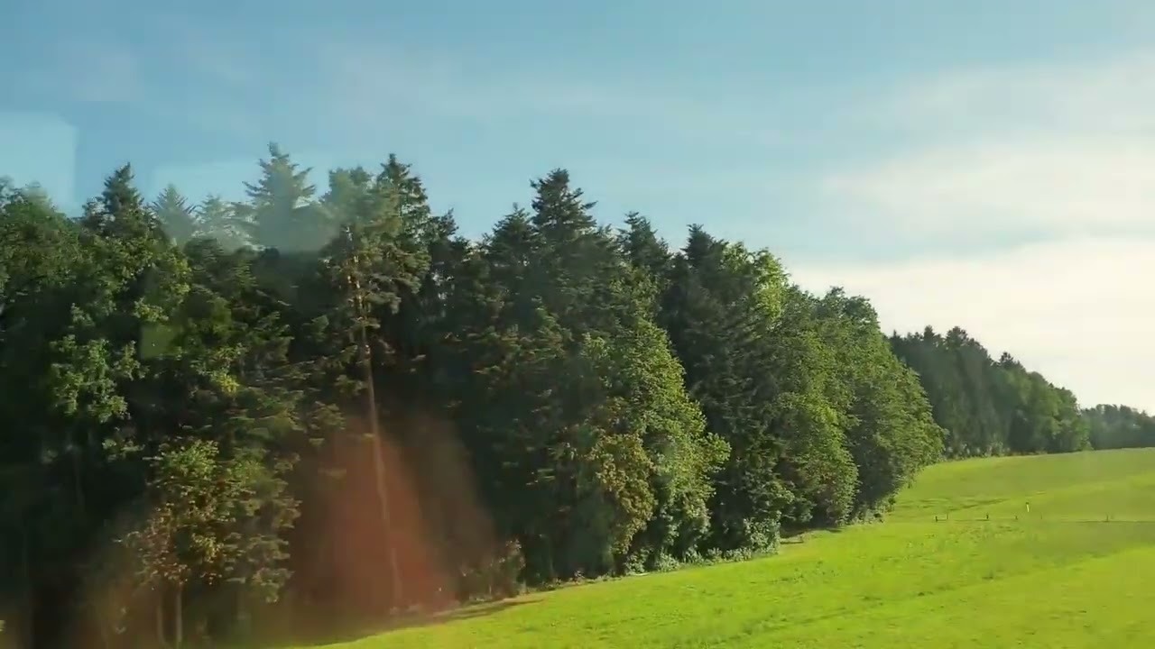 Những Cánh Đồng Bất Tận Tại Thụy Sĩ #songanhfamily #travel #switzerland #field 