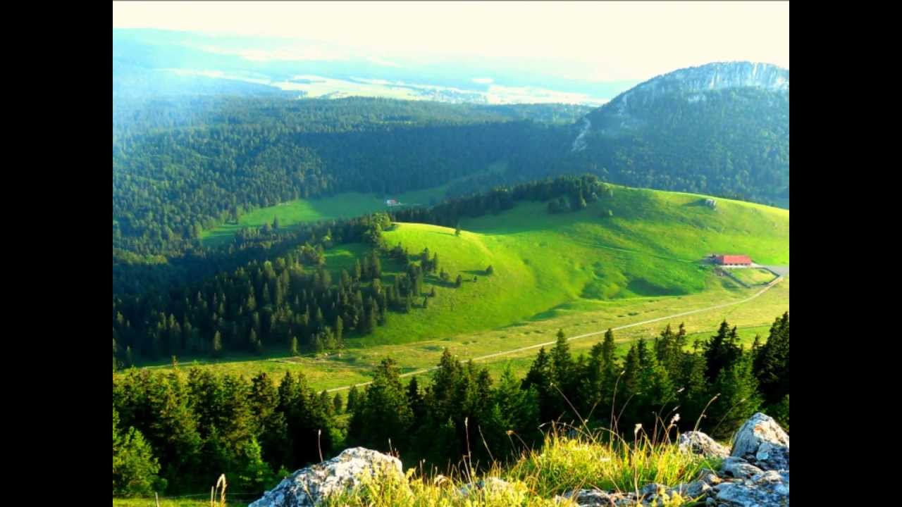 L'&eacute;t&eacute; dans les montagnes du Jura