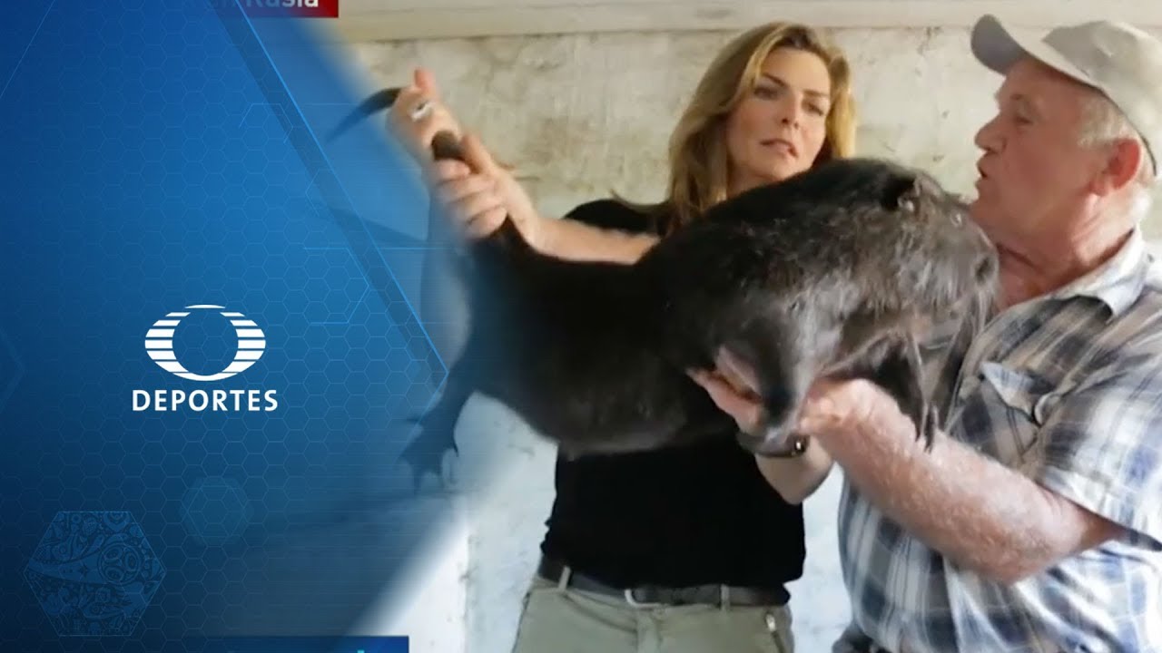 Hamburguesa de nutria | Montserrat en Rusia | La Jugada del Mundial