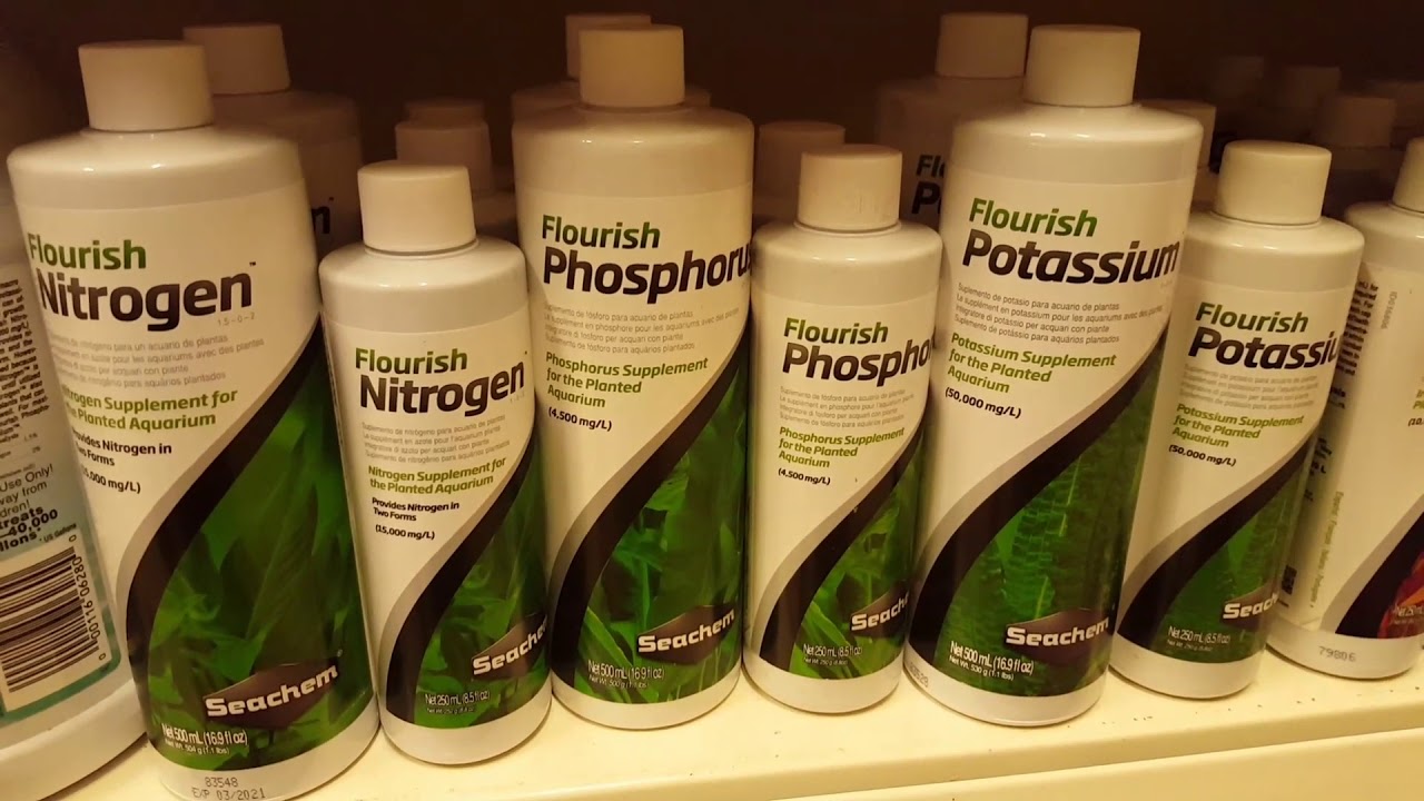 Abonado correcto de plantas de acuario