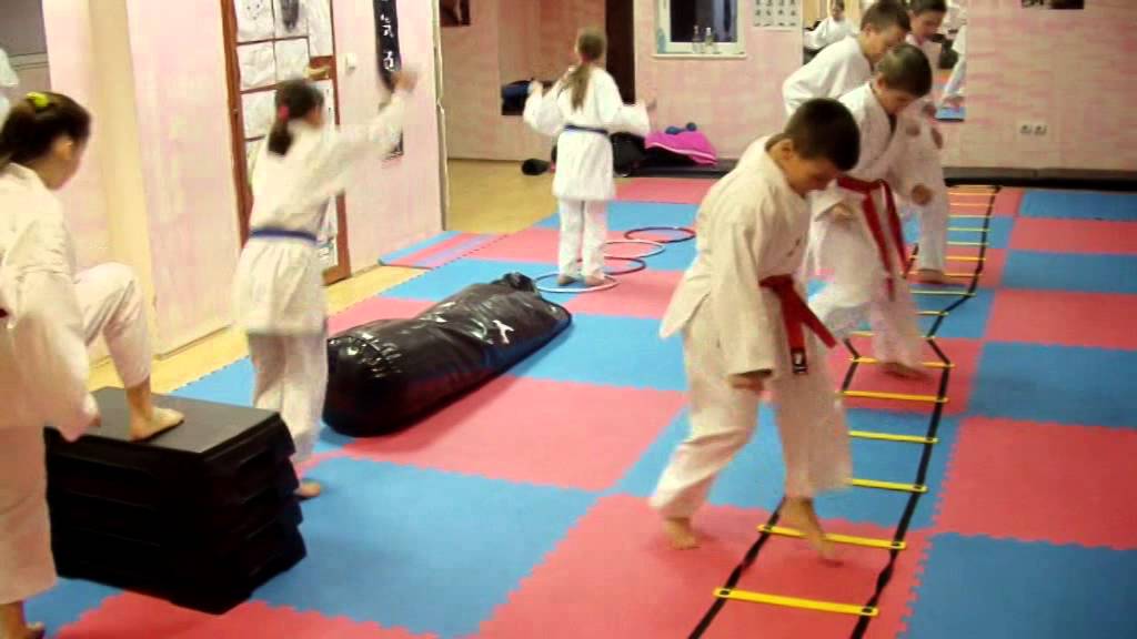 PLYOMETRICS AND AGILITY-CHEETAH FIGHTERS