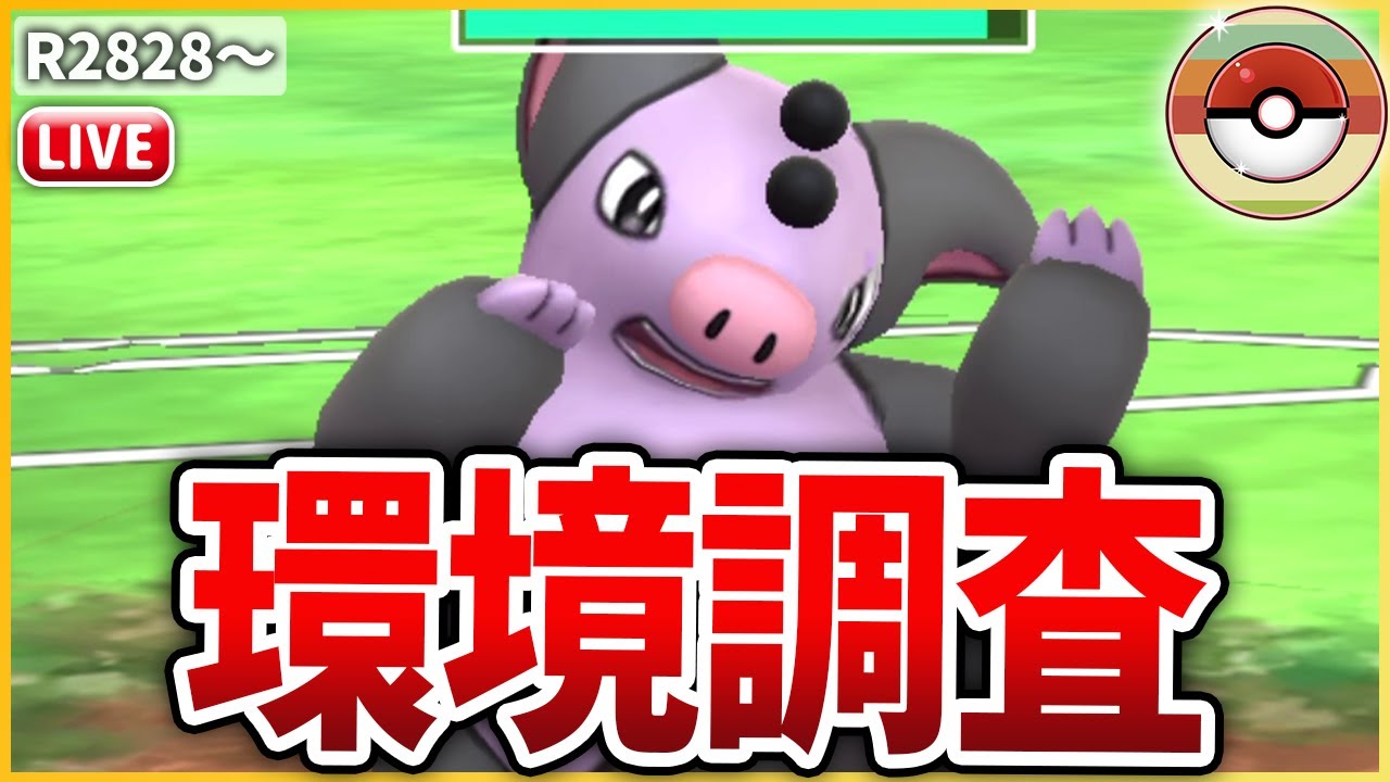 【レトロカップ】この環境で強い「ブーピッグ」で初日環境調査！