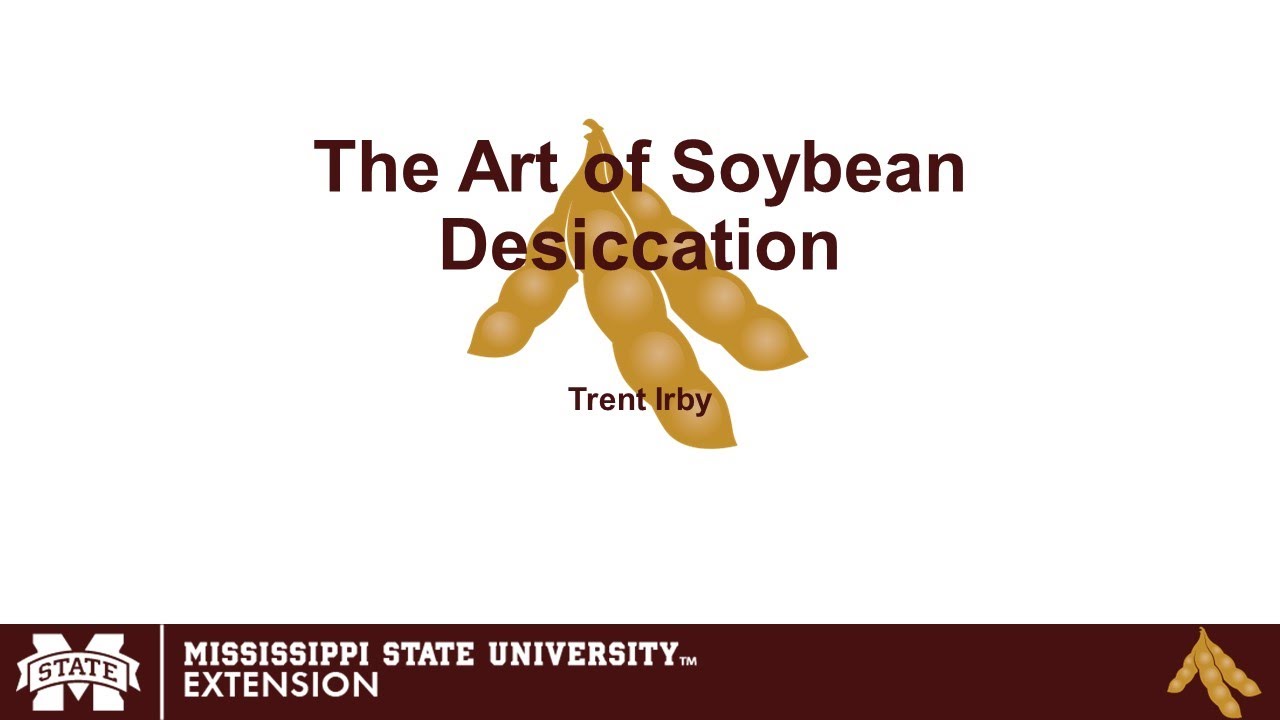 The Art of Soybean Desiccation