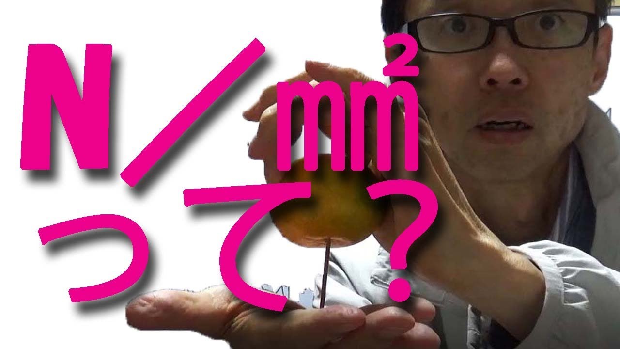 1N/㎟ってどれくらい？