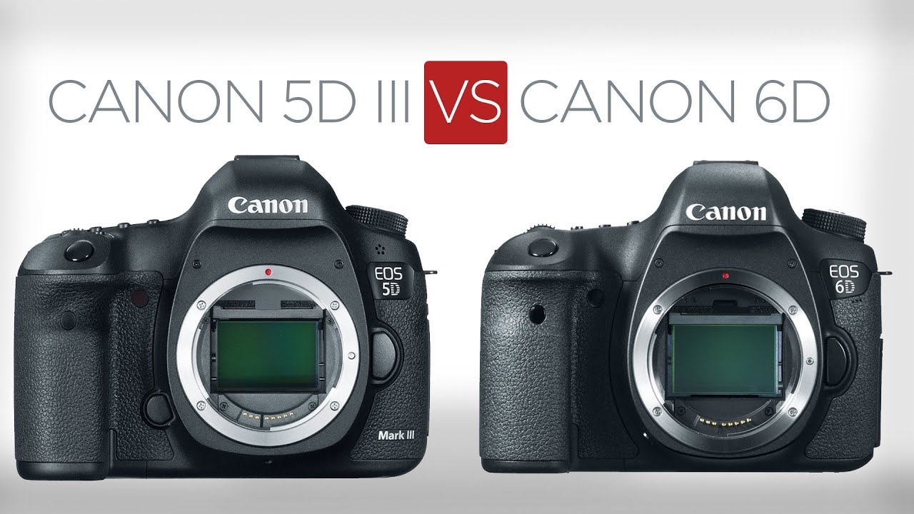 Canon 5D Mark III против Canon 6D