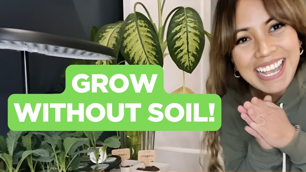 Burpee Indoor Garden Hydroponics Review: Grow Fresh Herbs and Veggies at Home