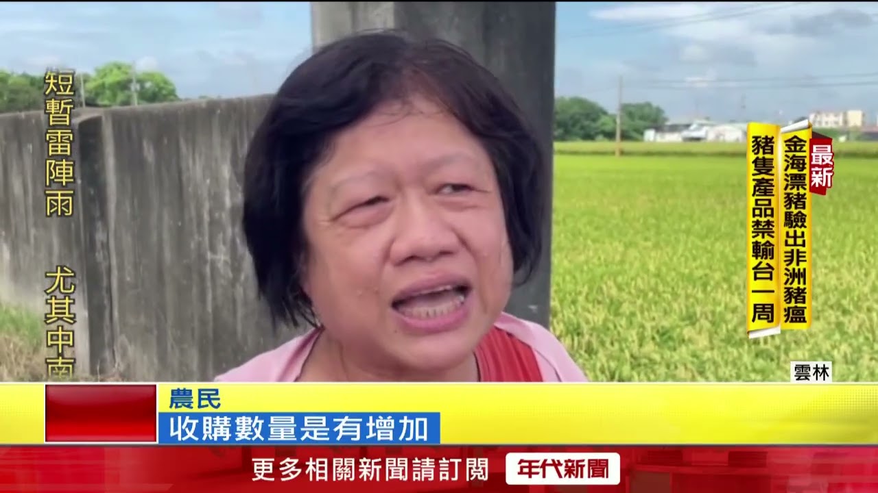 西螺公糧收購價創新高！ 農民趁雨停搶收換錢