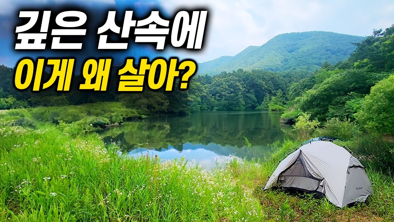 향어가 산속 저수지에 산다? 산에서 캠핑낚시 힐링을 해보자