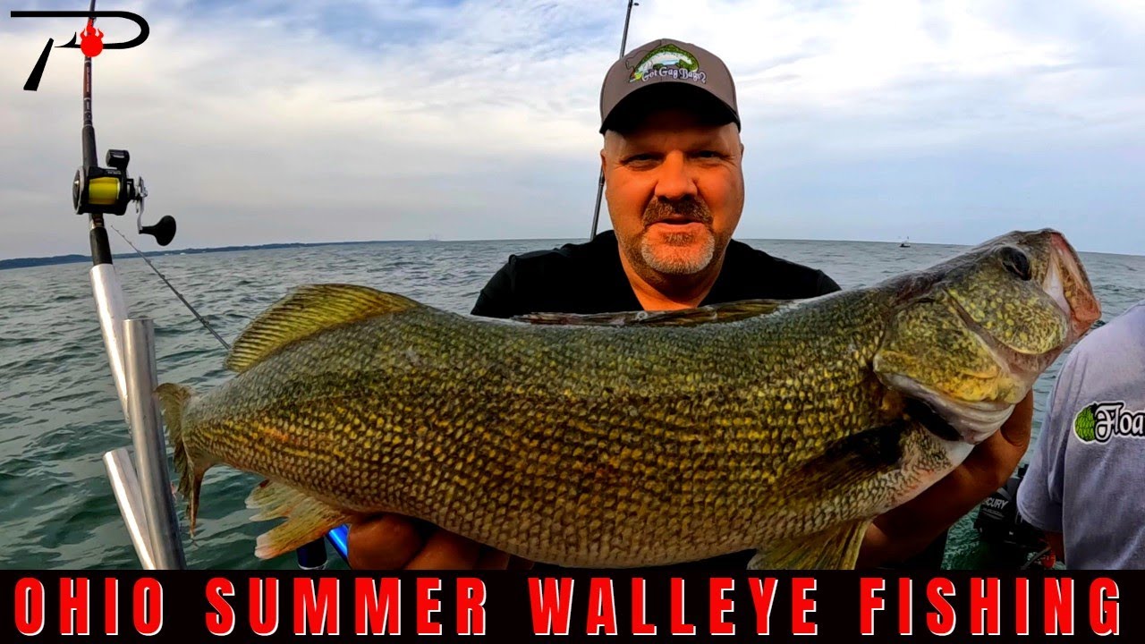 Ohio Summer Walleye Fishing