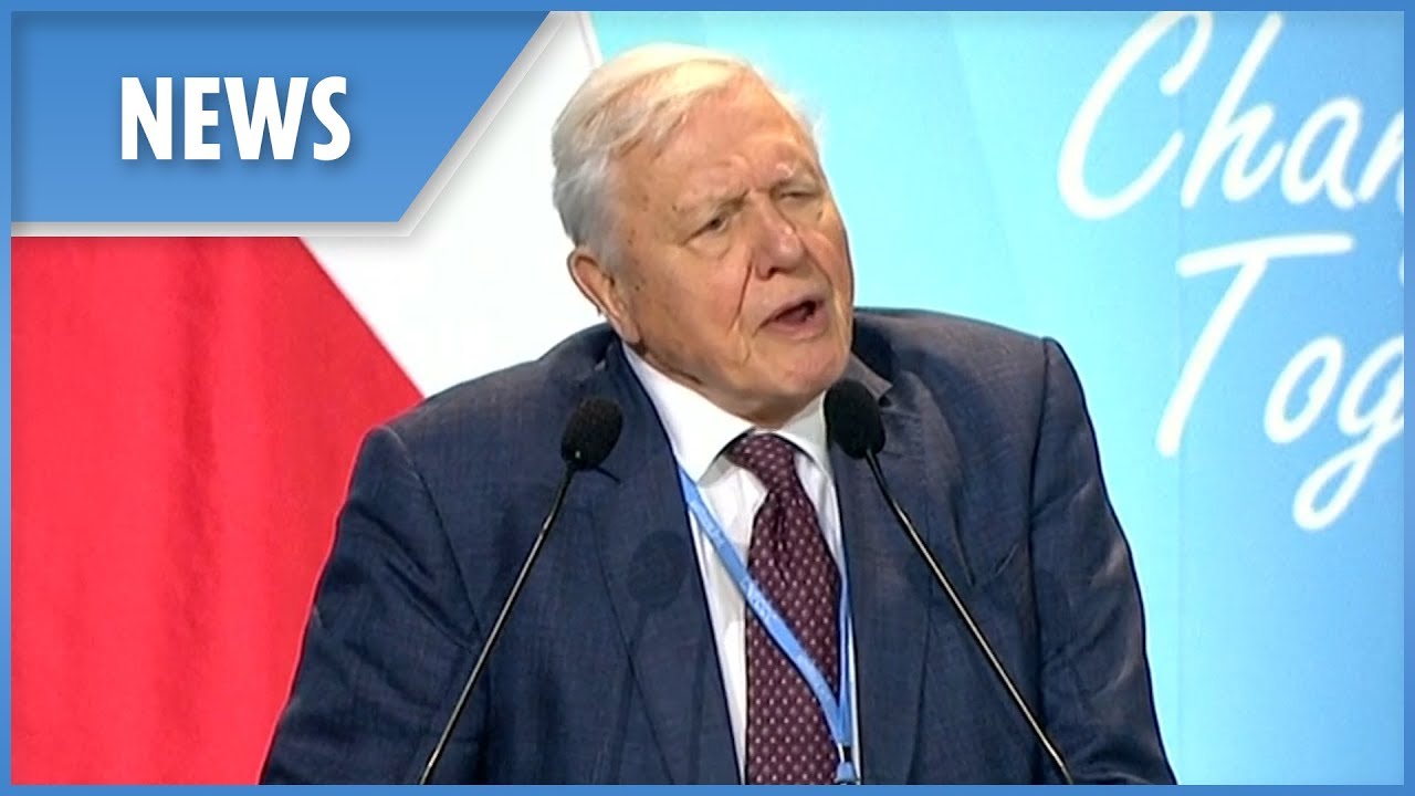 Sir David Attenborough at COP24: 