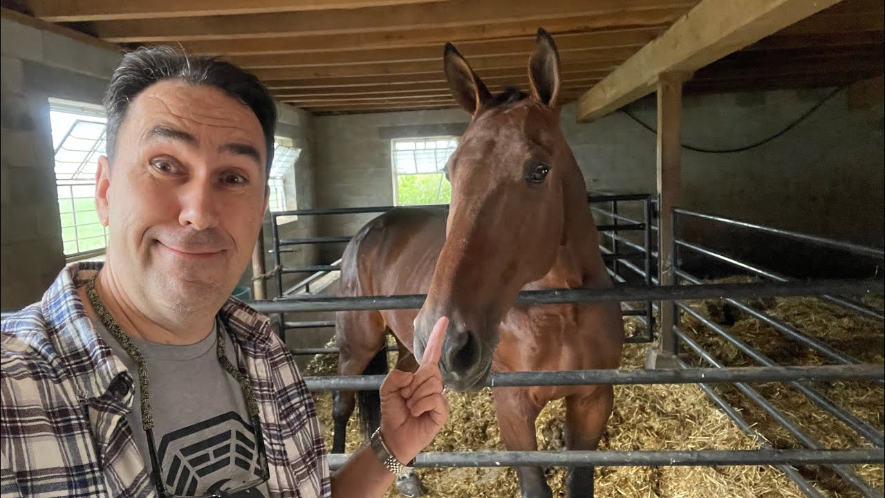 Visiting a New Amish farm