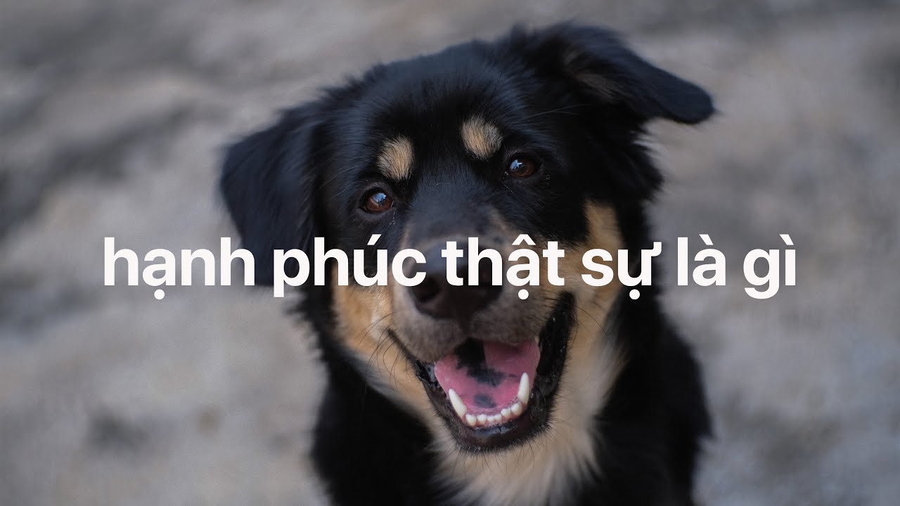 Flow: Lối suy nghĩ gi&uacute;p m&igrave;nh lu&ocirc;n vui vẻ, t&iacute;ch cực