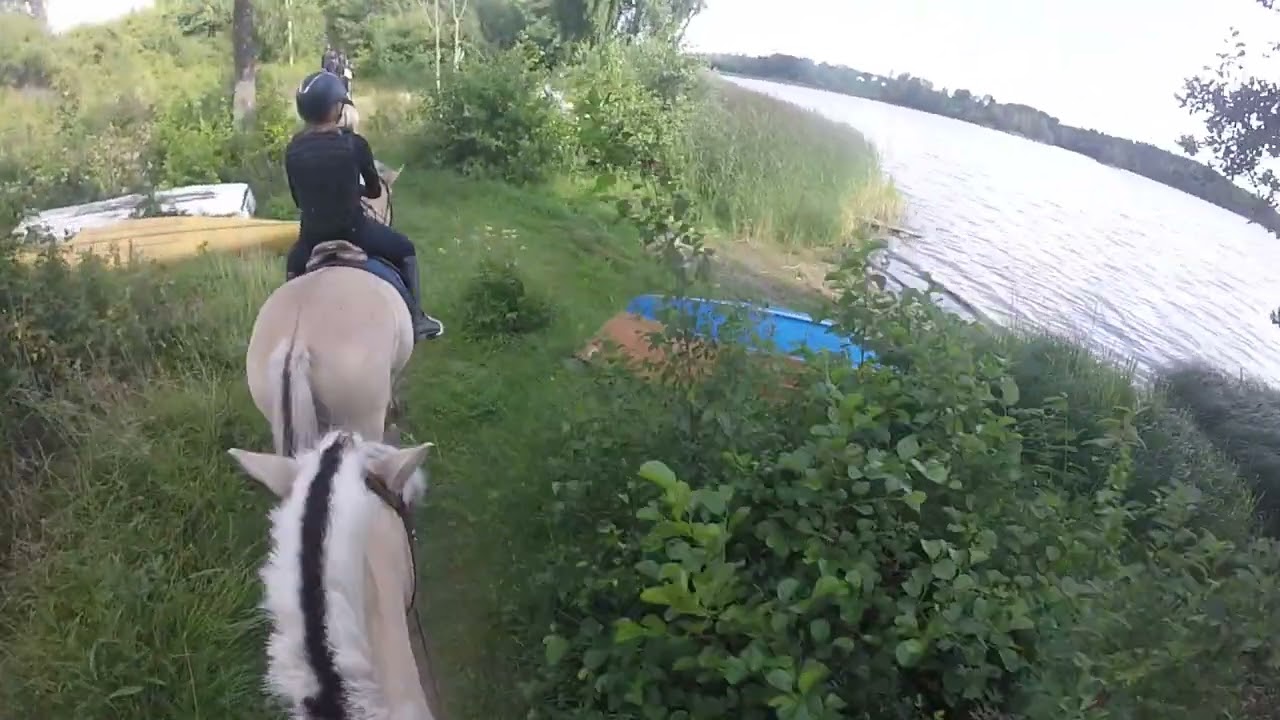 Taffsnäs uteritt 26/7-23