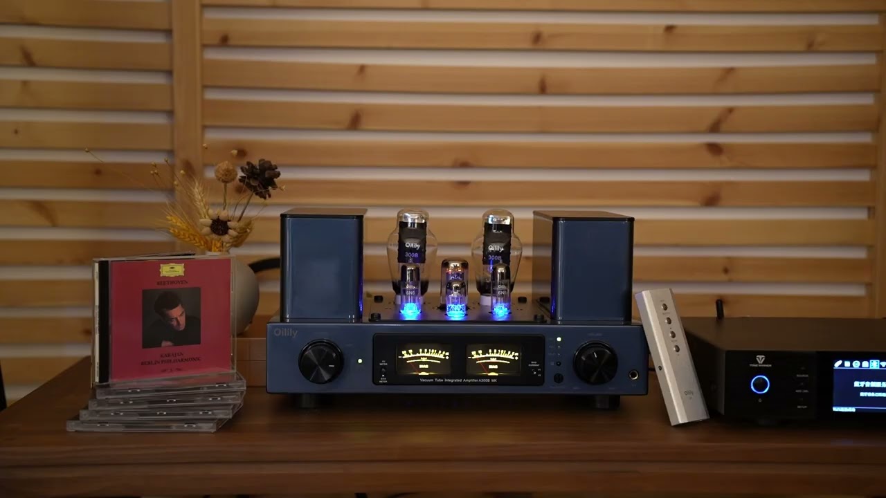 The Classic 300B Tube Sound Arrives: Oilily 300B Black Tube Amplifier Demo Now Open#vacuum