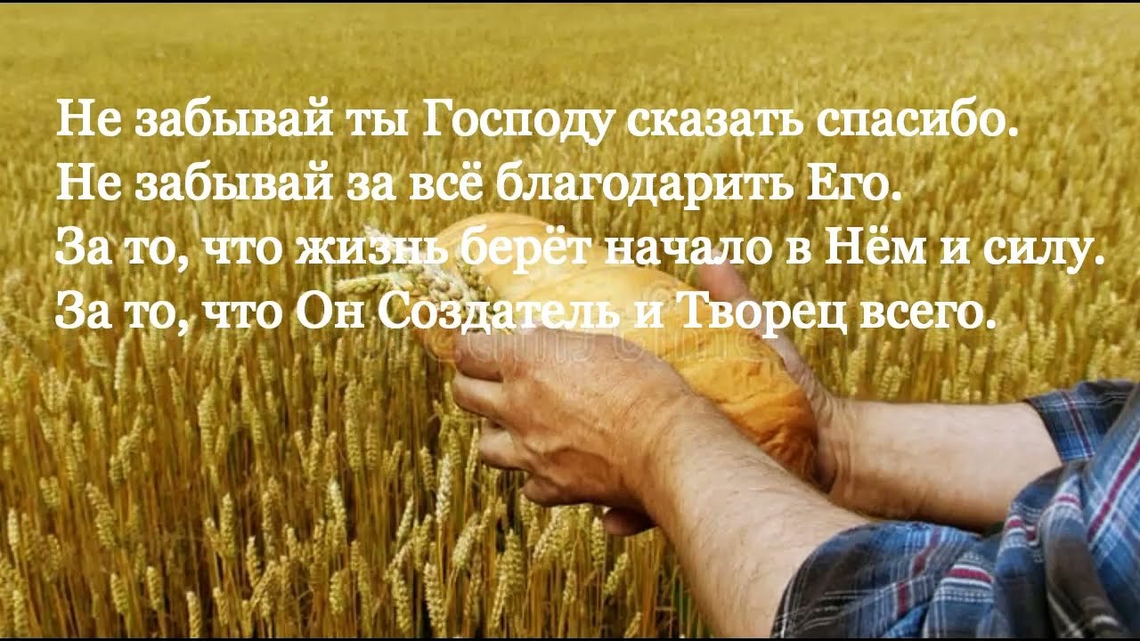🙏🪗«Скажи Господу Спасибо.»   Alvin. (Brat Bruder.)
